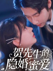 賀先生的隱婚蜜愛